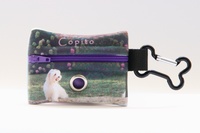 Copito