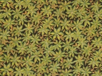 Tela de flores verdes con fondo oscuro