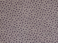 Tela de flores moradas sobre fondo morado claro