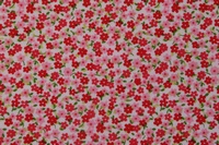 Tela de flores rojas y rosas con tallo verde y fondo blanco