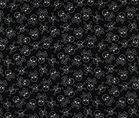 Tela Calaveras 2