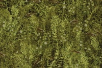 Tela con estampado de hiervas verdes